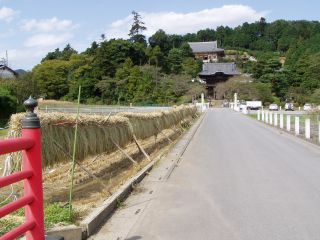 秋の景色。これぞ日本の里山