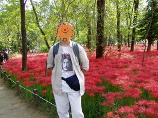 曼珠沙華の絨毯!!