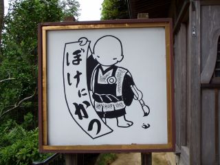 まだぼけないぞ!!