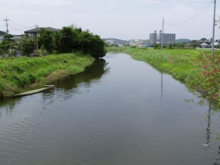 川の水は溢れそうなくらい1