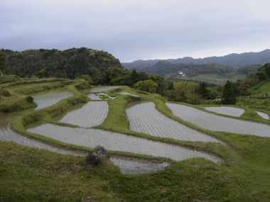 元名集落の棚田