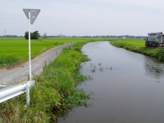 川の水は溢れそうなくらい2