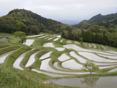 千枚田