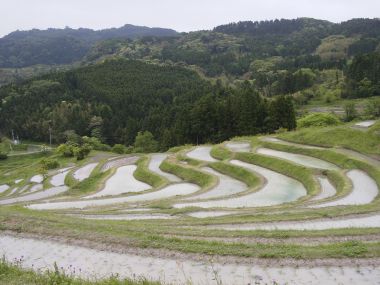 千枚田