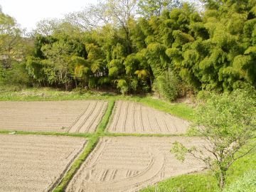 公園から駅までは田園風景