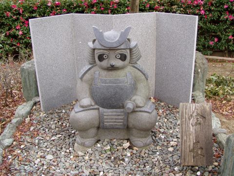 狸のボス・金長