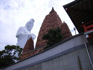 ちゃんといた…