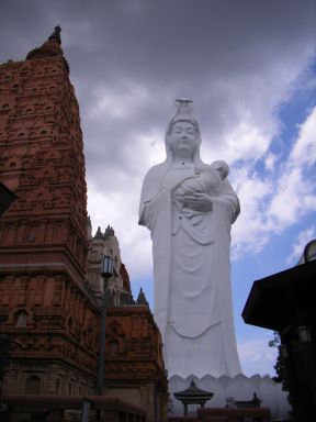 でも、やっぱ神々しい…