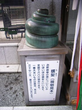 ラホツ(頭のイボイボ)