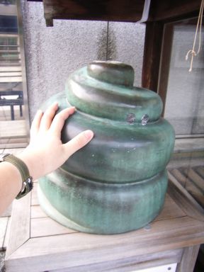 ラホツ(頭のイボイボ)2