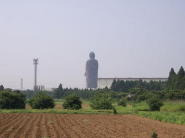 背後から観た牛久大仏